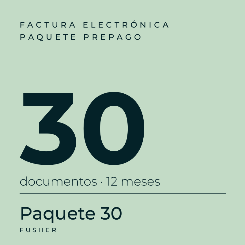 Factura electrónica · Paquete de 30 documentos